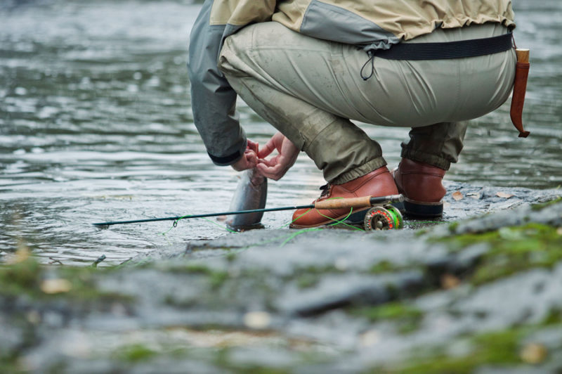 41260515-e1Jf1 41260515-e1Jf1