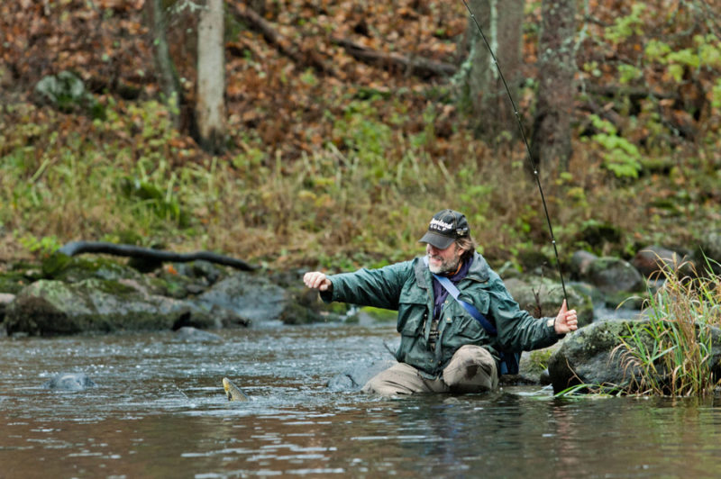 41260522-cSc9N 41260522-cSc9N