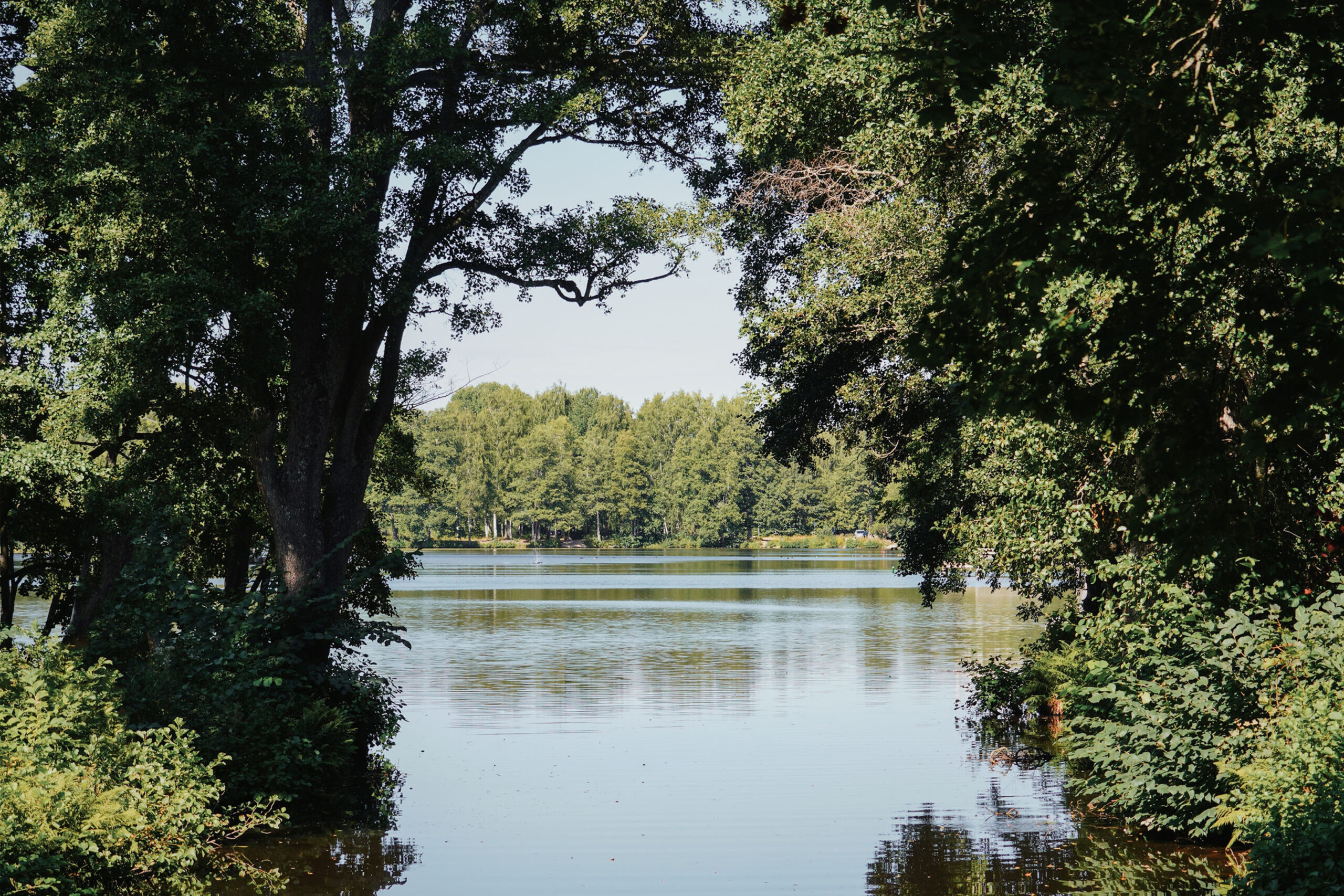 omgivning1 omgivning1